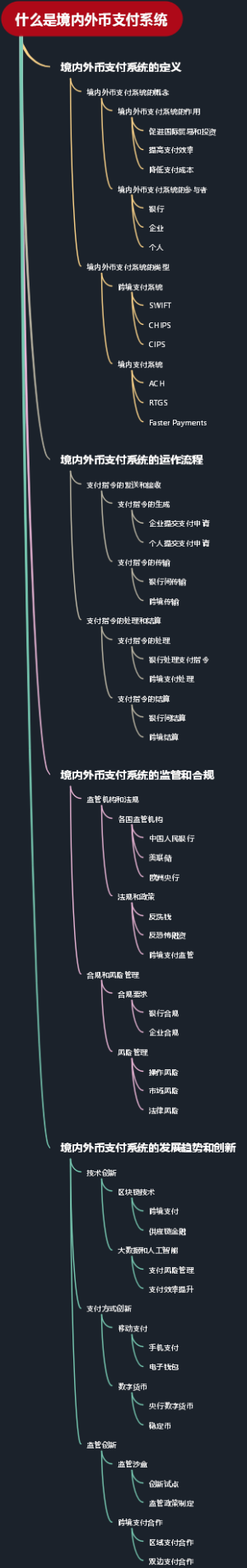 什么是境内外币支付系统
