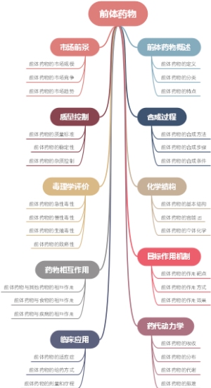 前体药物