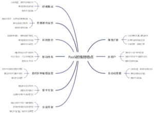 PaaS的独特特点