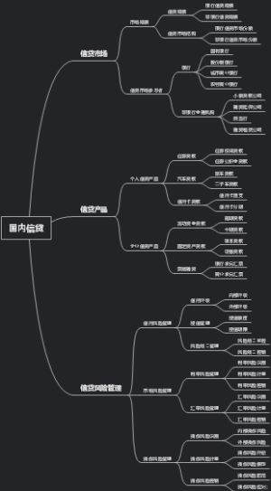 国内信贷