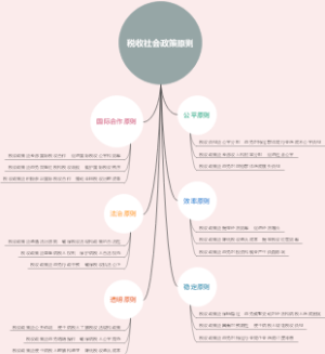 税收社会政策原则