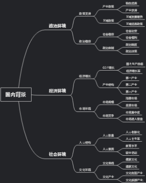 国内背景