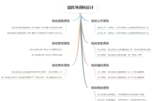 最优所得税设计