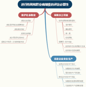 进行伤残和职业病等级的评定必要性