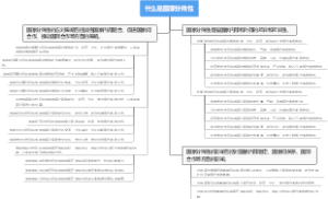 什么是国家分殊性