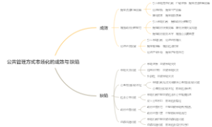 公共管理方式市场化的成效与缺陷