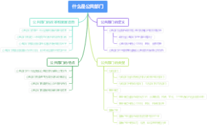 什么是公共部门