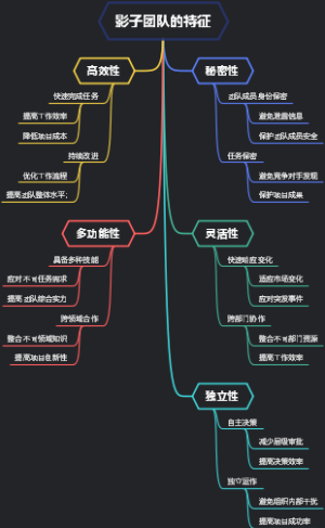 影子团队的特征