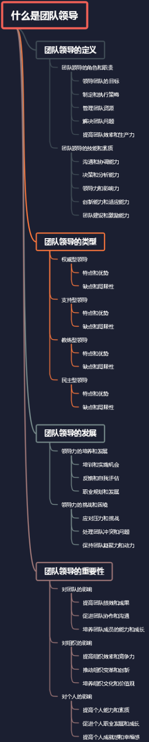 什么是团队领导