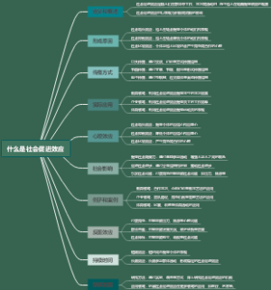 什么是社会促进效应