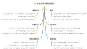 什么是库伯勒罗丝模型