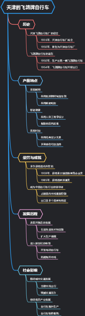 天津的飞鸽牌自行车