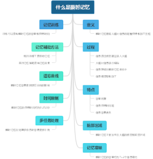 什么是瞬时记忆