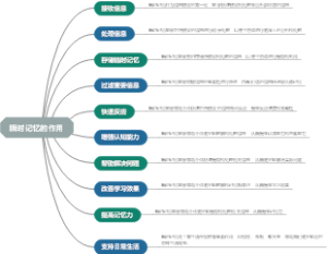 瞬时记忆的作用