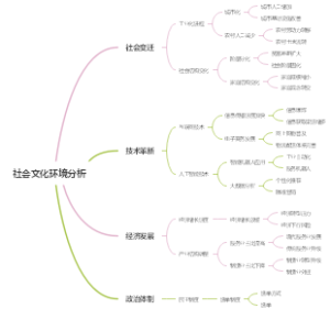 社会文化环境分析