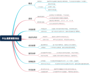 什么是复制型创业