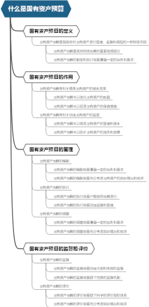 什么是国有资产预算
