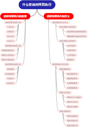 什么是政府预算执行