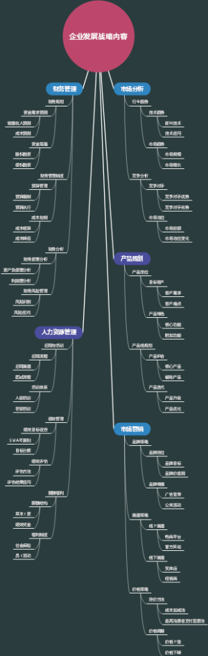 企业发展战略内容