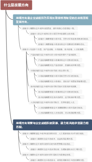 什么是战略方向