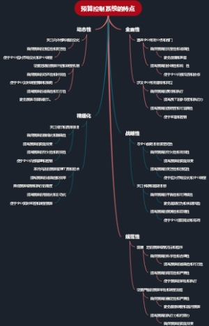 预算控制系统的特点