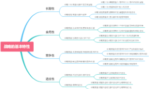 战略的基本特性