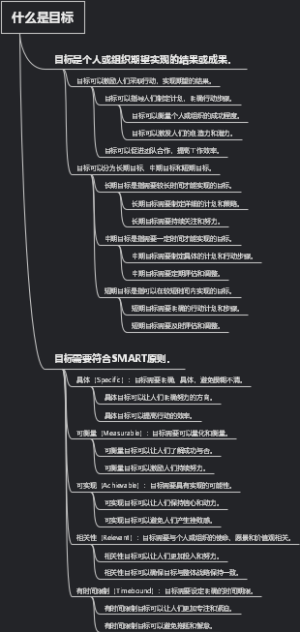 什么是目标