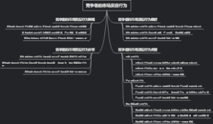 竞争者的市场反应行为