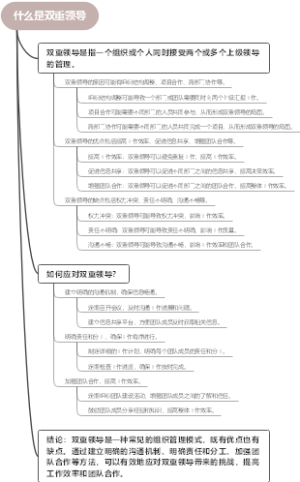 什么是双重领导