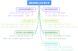 直接选举的工作方案内容