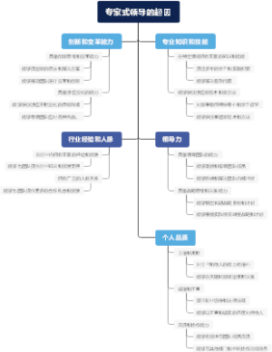 专家式领导的起因