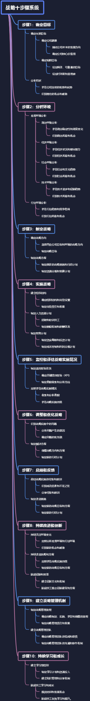 战略十步骤系统