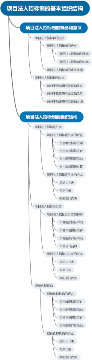 项目法人招标制的基本组织结构