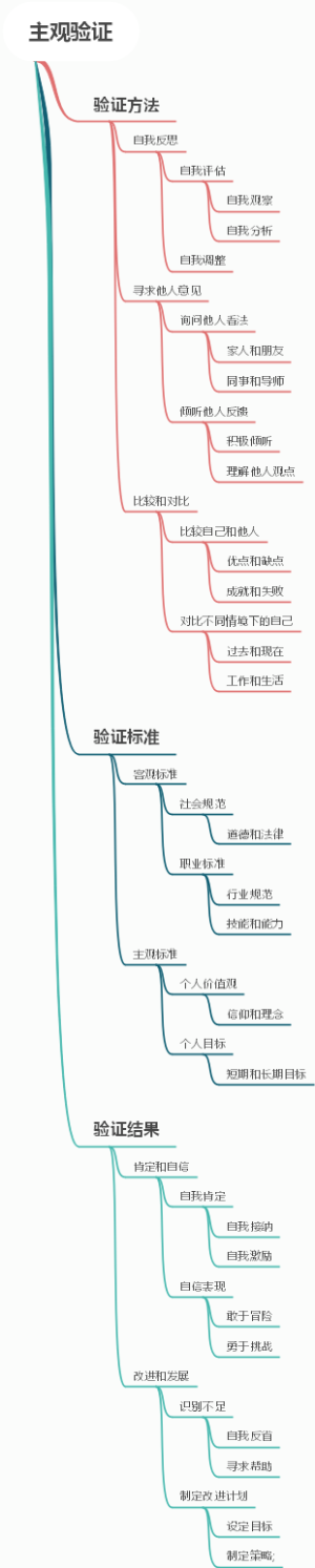 主观验证
