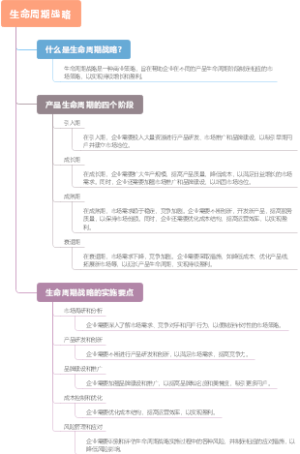 生命周期战略