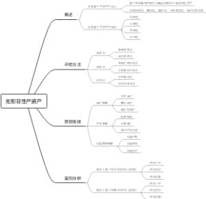 无形非生产资产