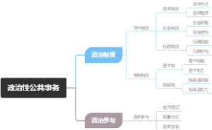 政治性公共事务