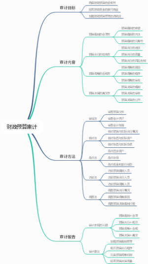 财政预算审计