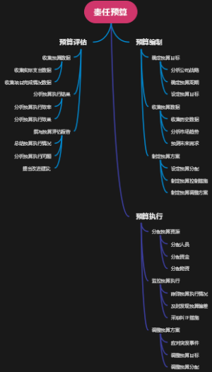 责任预算