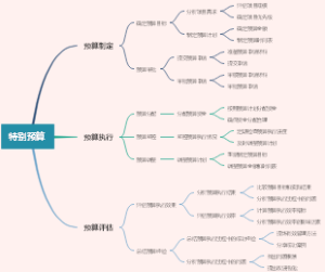 特别预算
