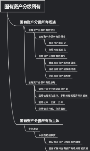 国有资产分级所有