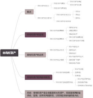非有形资产