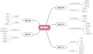 野牛团队