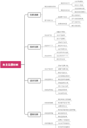 自主品牌创新