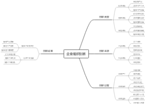 企业组织创新