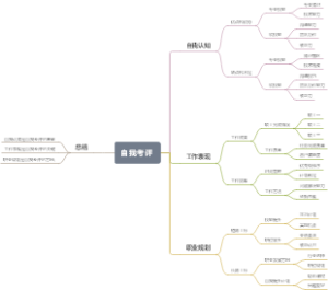 自我考评