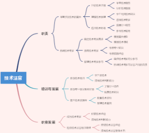 知识产权尽职调查