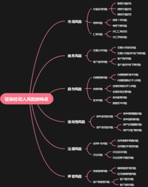 证券经纪人风险的特点