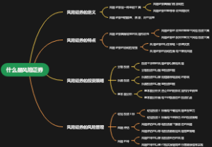 什么是风险证券