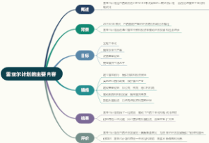 雷亚尔计划的主要内容